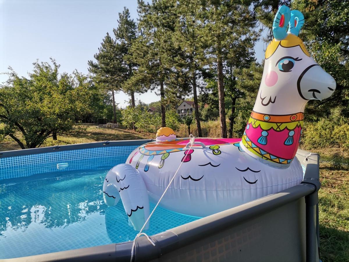 Borsko Jezero Villa Exteriör bild