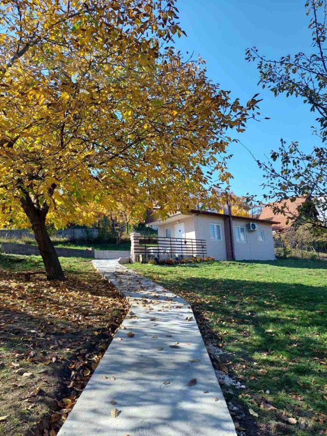 Borsko Jezero Villa Exteriör bild